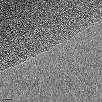 TEM Image of a Single Layer Film
